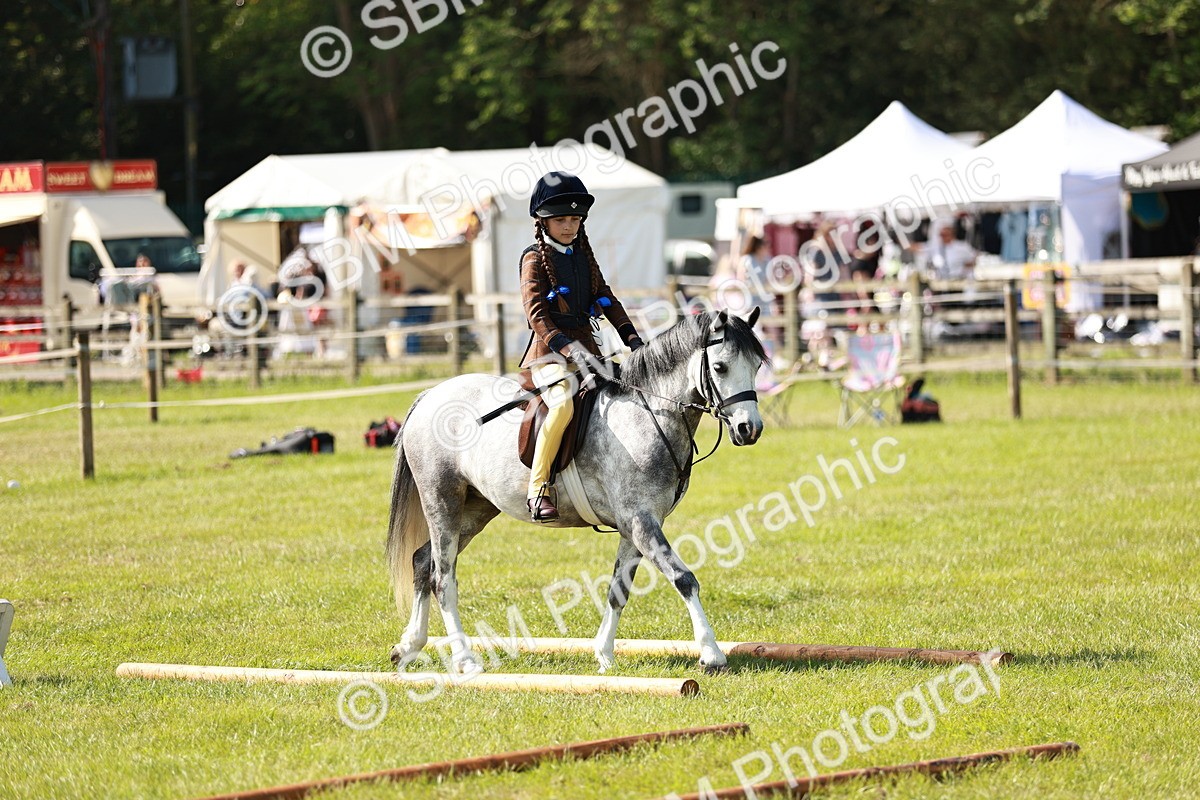 SBM_12648 - Class 106-107 - BSPS LIHS Working Sports Pony
