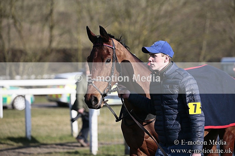 PtP 240218 559 - Vine & Craven Hunt Point-to-Point Barbury racecourse 24/02/18