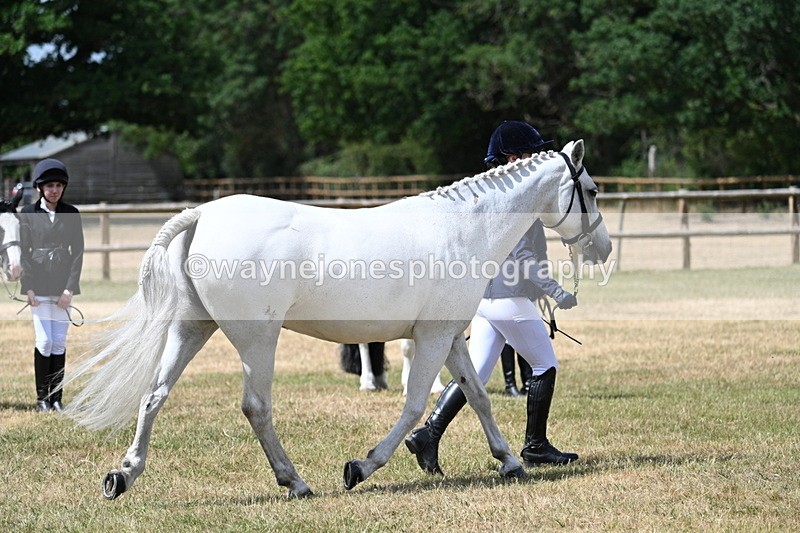 WJ7_1612 - Class 4 Prettiest Mare up to 14.2hh in hand