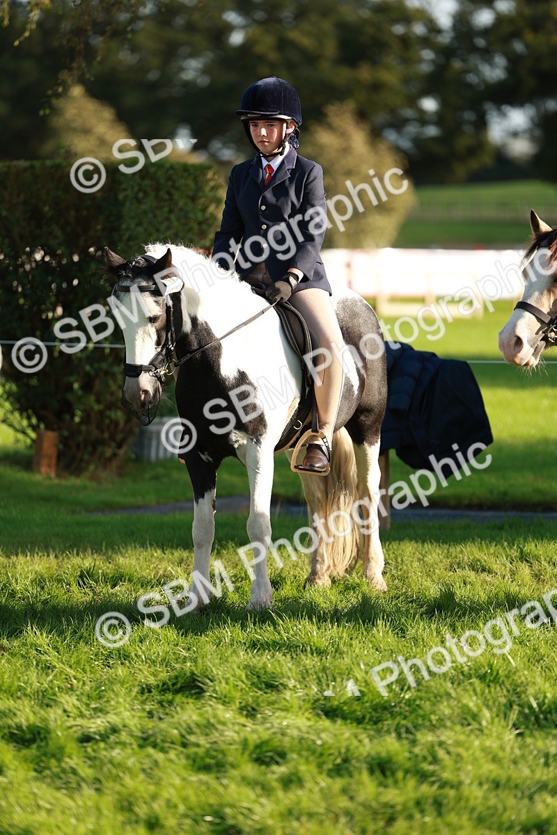 SBM_28773 - S7 - Novice & Newcomer Ridden Pony