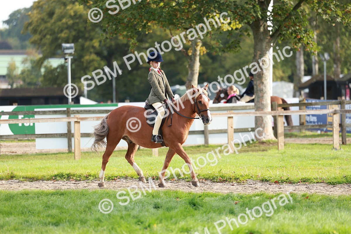 SBM_56357 - S39 - Starters In Hand Showing