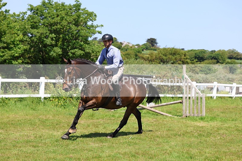 3E7A7316 - Class 30: Novice Working Hunter