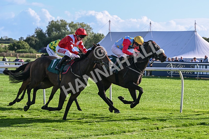 080926-Race 6-Filey Beach-3133 - Race 6 4.46pm Download The Raceday Ready App Handicap