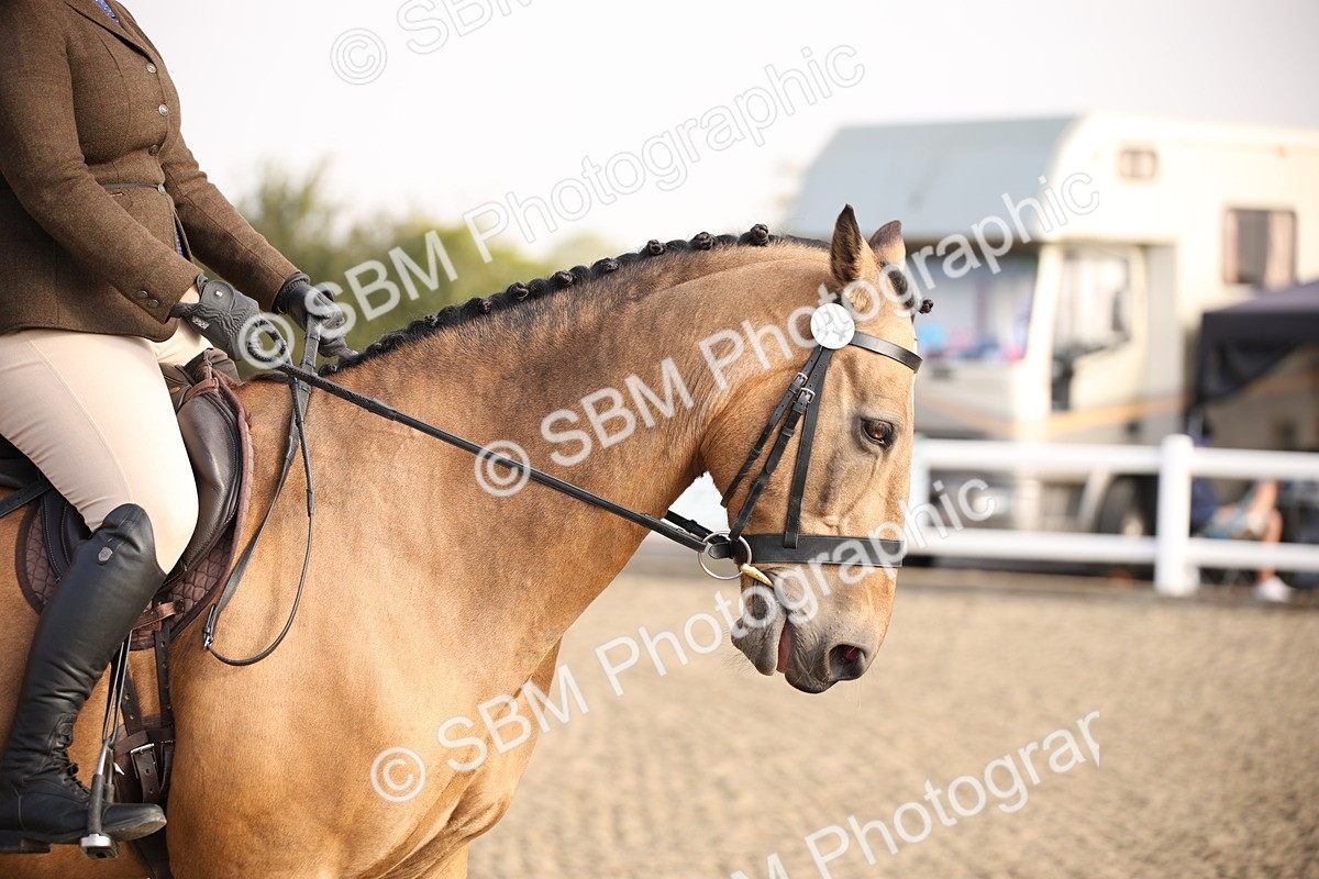SBM_10252 - Class 402 Riding Club Horse