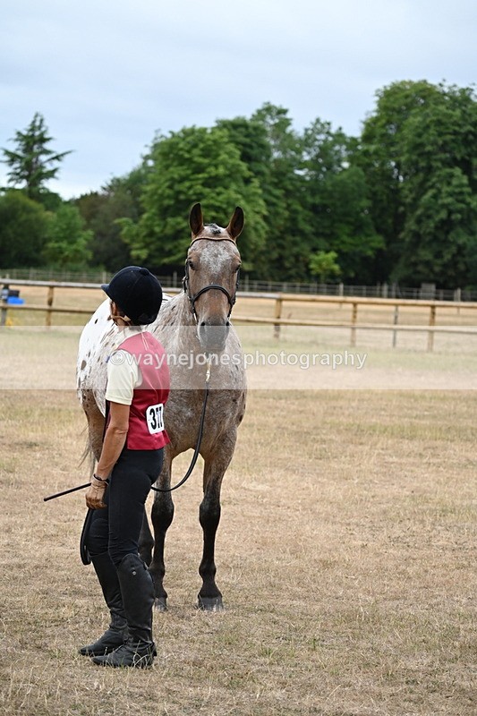 WJ6_8259 - Class 10 Coloured in Hand