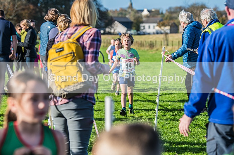 Cumbria XC-44 - Cumbria XC League Workington Saturday 26th October 2024