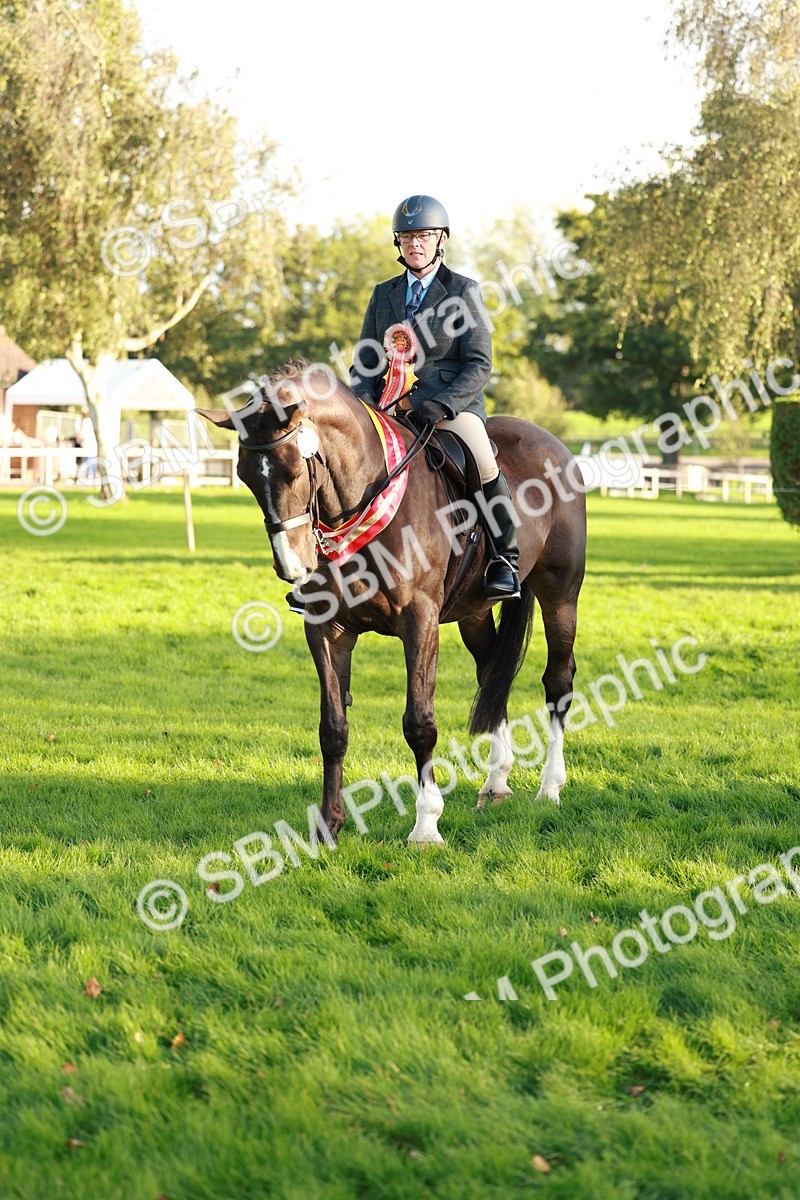 SBM_29327 - Novice & newcomer Supreme Championship
