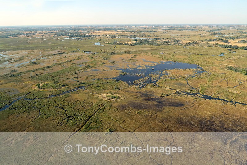 View of the Delta From the Air - Botswana ~ Various Other