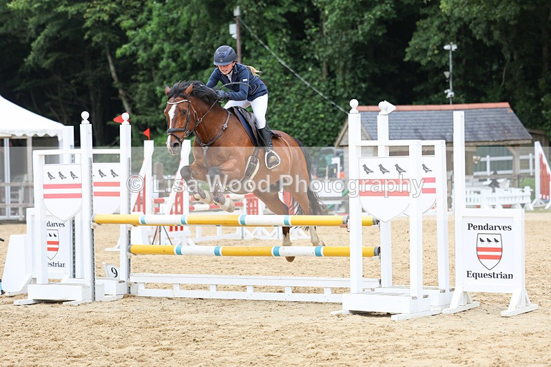 3E7A6933 - Class 14: Pony Discovery/90cm open