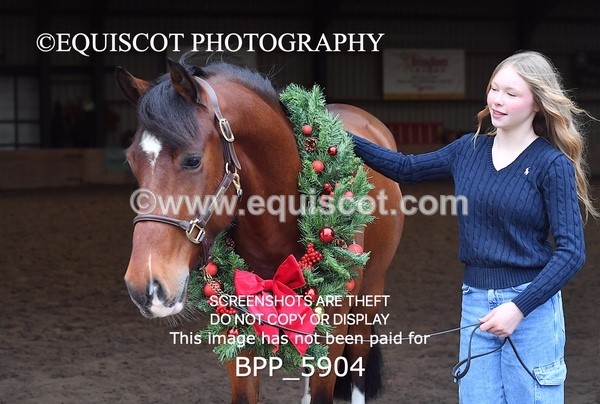 BPP_5904 - Marion West pony 3