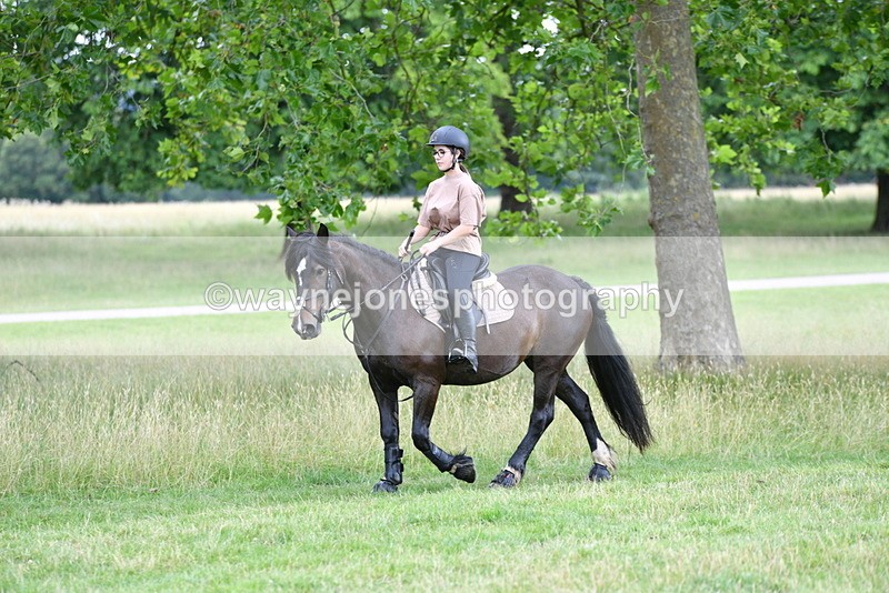 WJ5_1851 - Time at Jump 13:04 to 14:02