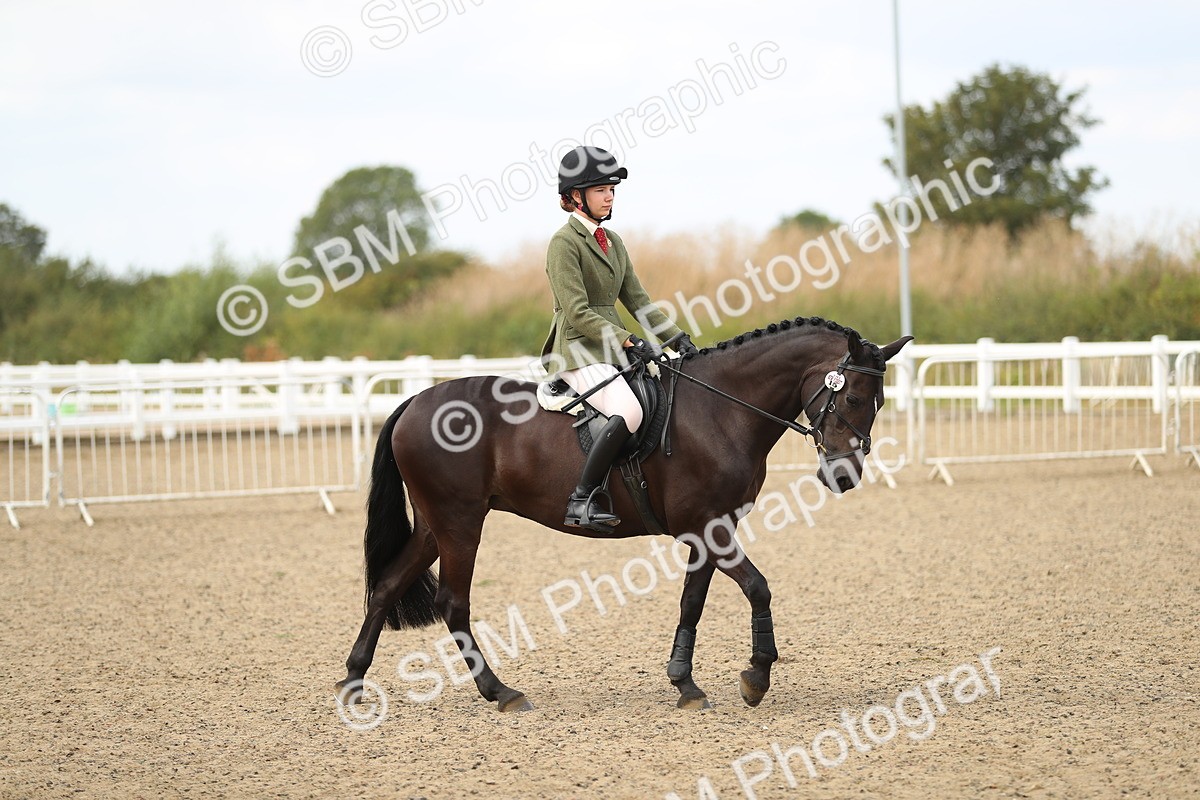 SBM_05610 - Class 48a Style & Performance 70cm (15-19)