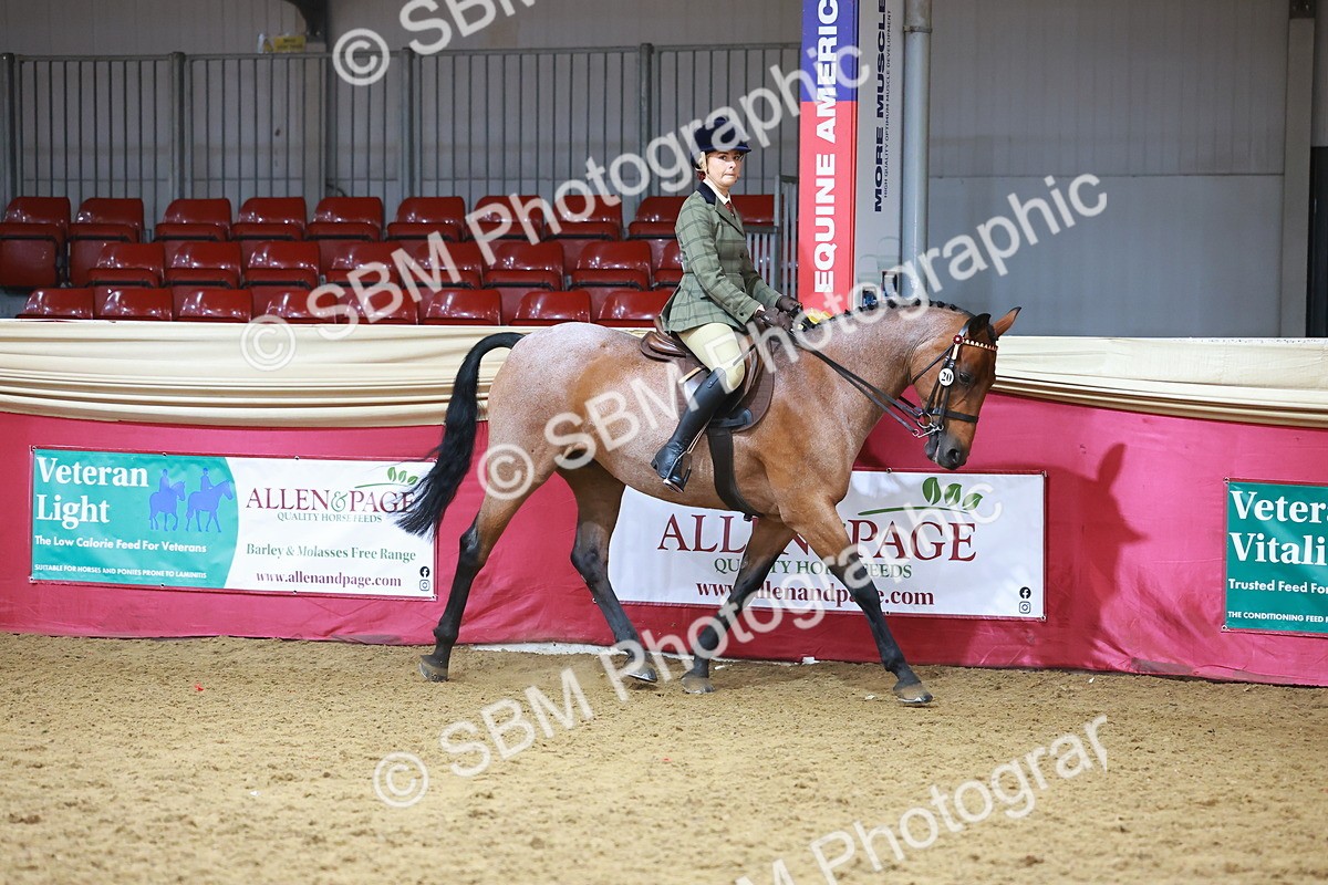 SBM_09362 - Class 102 - HOYS Veteran Qualifier - Ridden Veteran