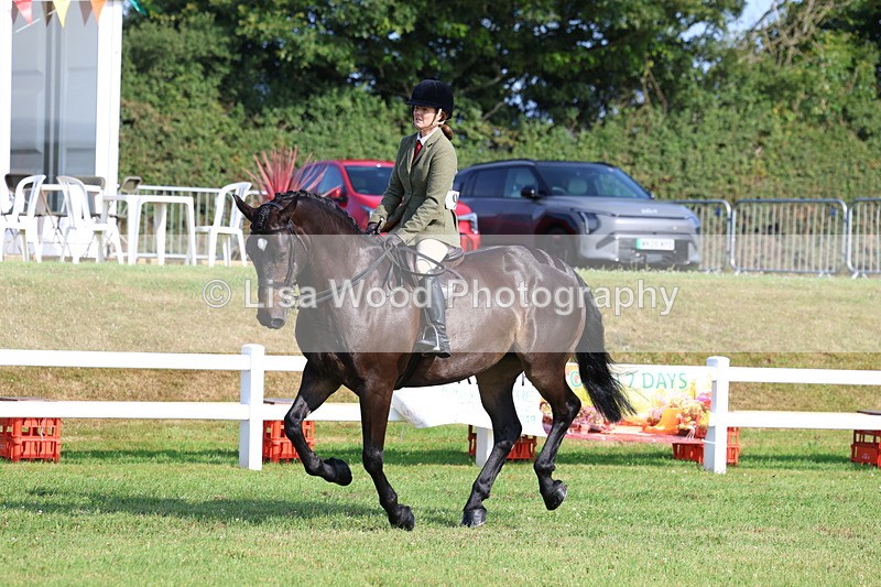 3E7A8630 - Class 3: Rising Star S/L Hunter