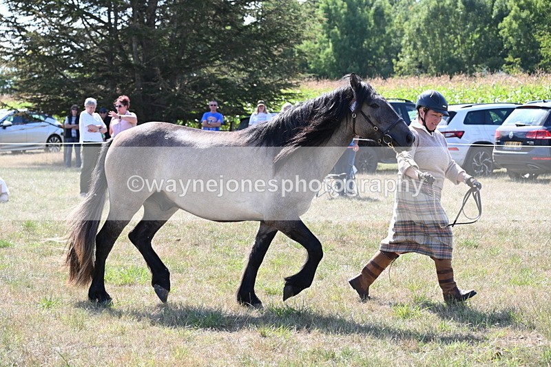 WJ6_4997 - Class 17 Mountain & Moorland