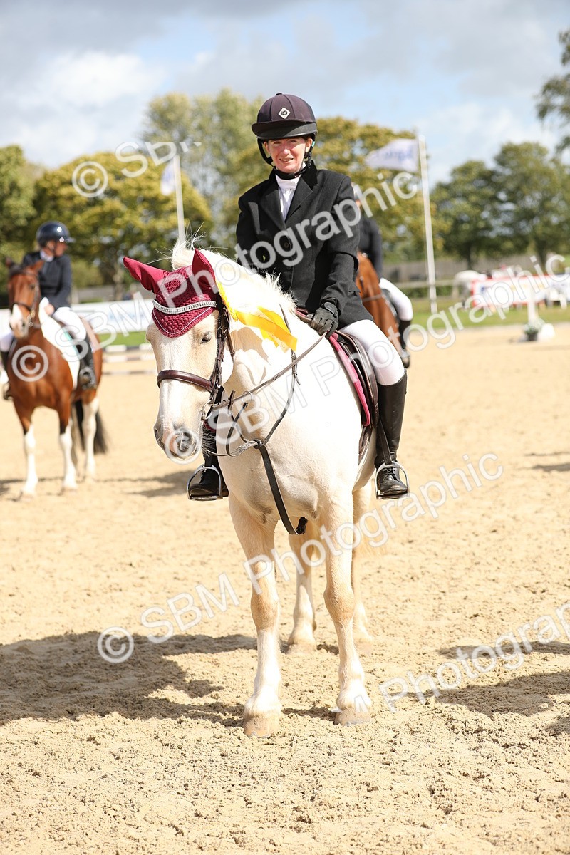 SBM_06537 - J29 - Senior Horse & Pony 65cm Championship