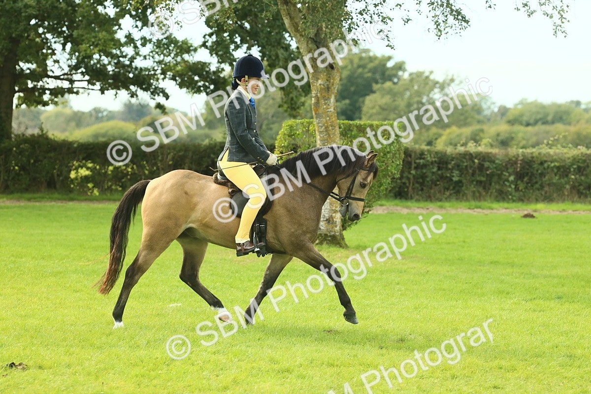 SBM_69807 - S59 - Mountain & Moorland Ridden Small Breeds