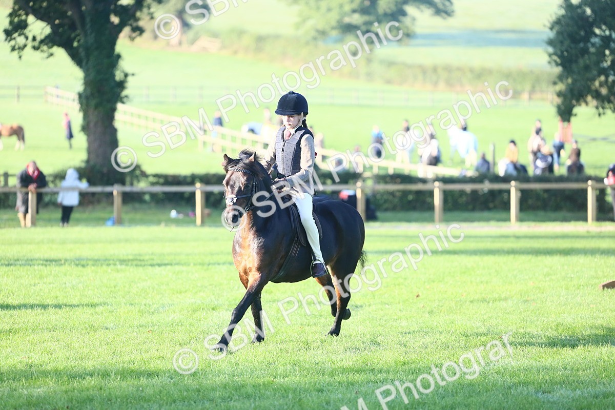 SBM_31915 - S28 - Nursery Stakes Working Hunter Pony