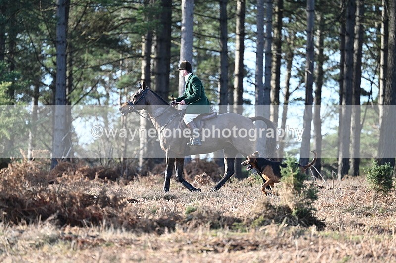 WJ7_7037 - Line 3 (no line 4 or 5)