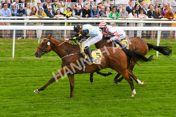 yr11062022r3-22 - Race 3 2.35pm The JCB Stakes