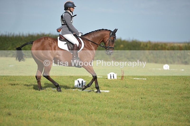 RAY_7591 - Class 2B: Trekenning Open: Dressage