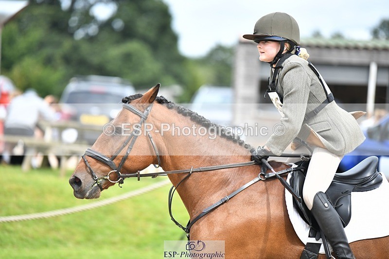 230827-115929-24289 - SJ 11.30 to End