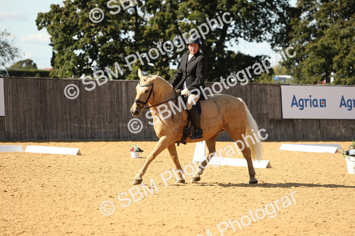 SBM_24558 - D17 - Grand Tour Championship - Novice 27
