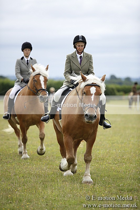 BVR160717-267 - Ring 1 BVRC Show 16/07/17