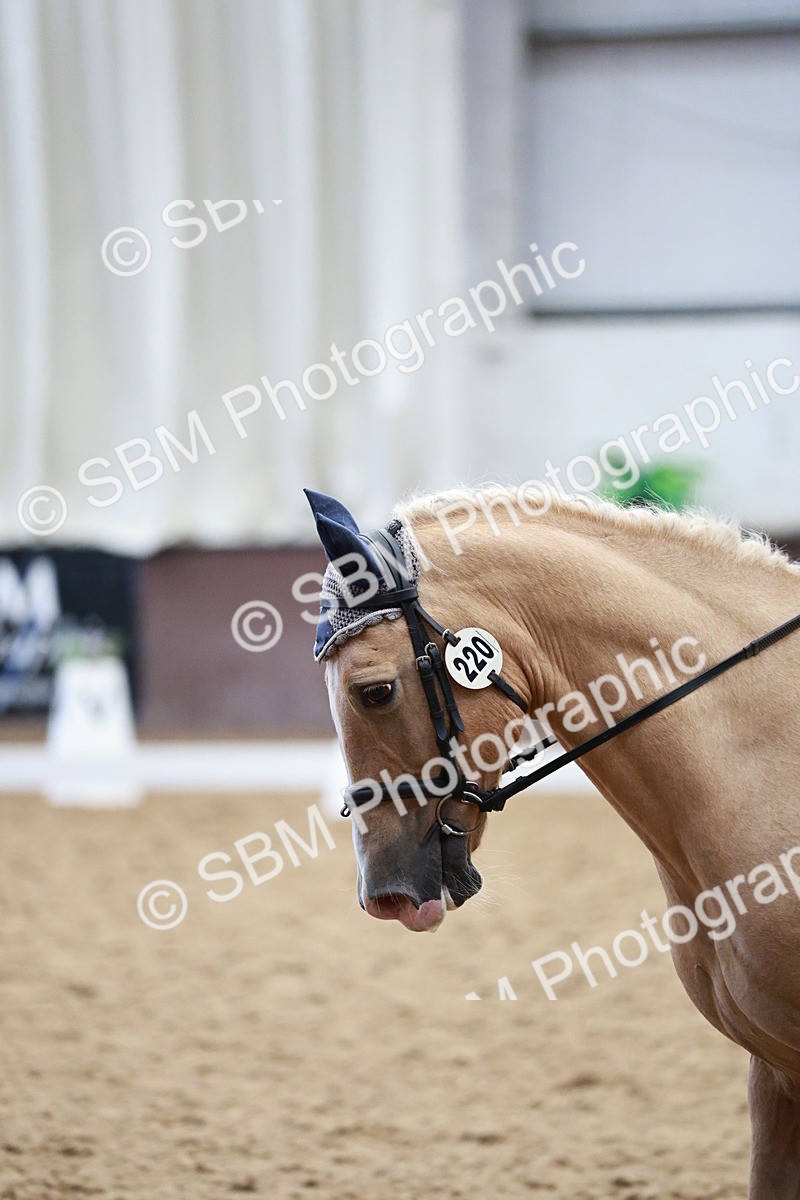 SBM_004659 - Class 13 - Novice FSM - 10.10-9.54