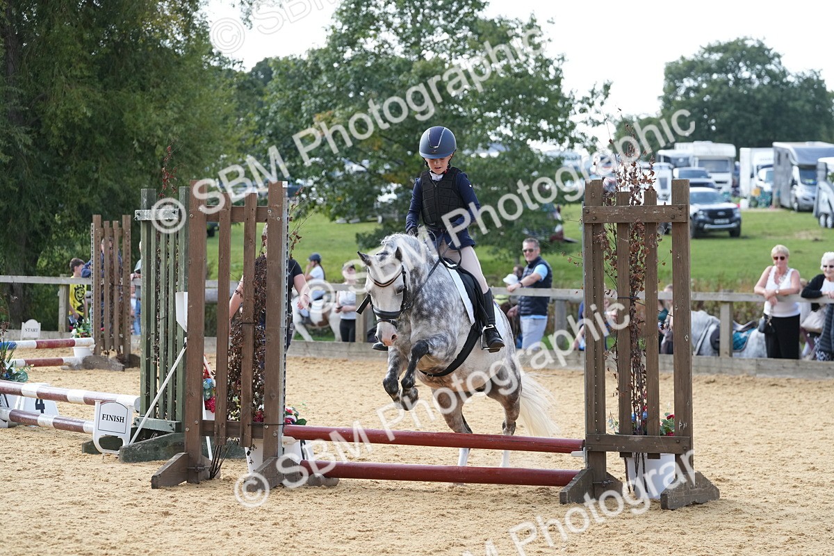 SBM_68344 - J3 - Mini Tour Junior Pony 40cm Championship