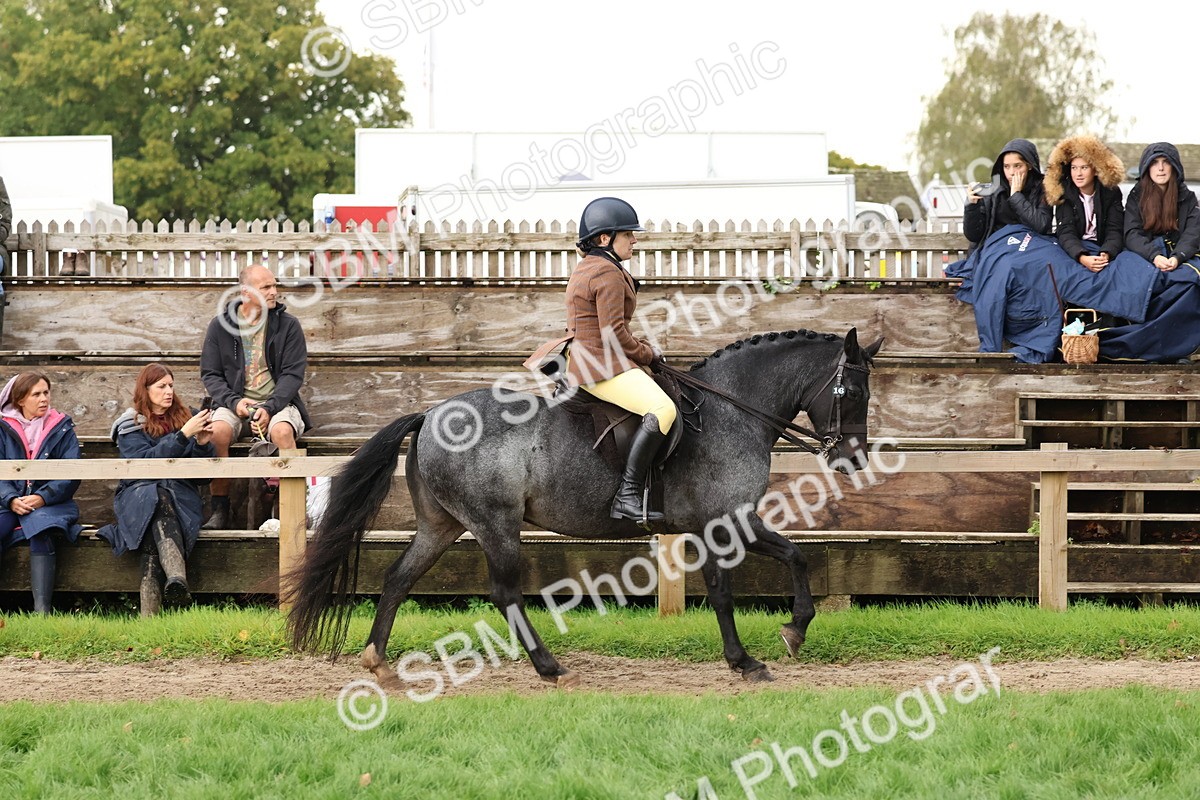 SBM_44992 - S27 - Young Veteran Ridden