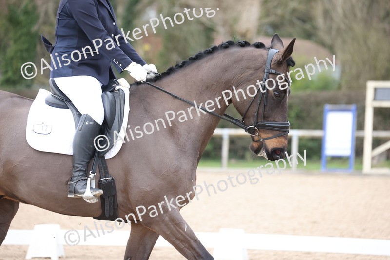 20260301-0965 - Class 6 - Elementary 5