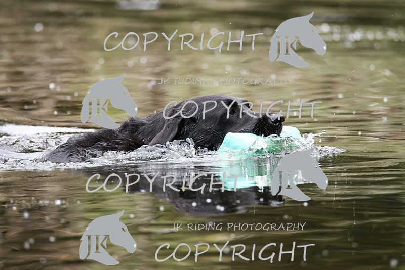 2R6A3521 - ​TEAM A: BORDER COUNTIES & COTSWOLDS 1-2-3