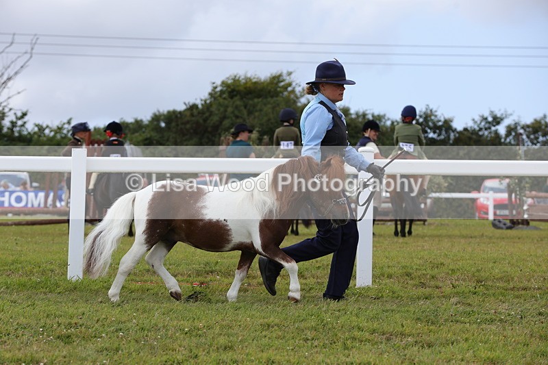 1X9A4752 - Class 35: Veteran In Hand