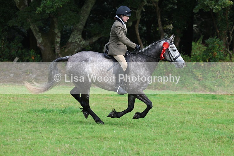 3E7A6132 - Working Hunter Championship