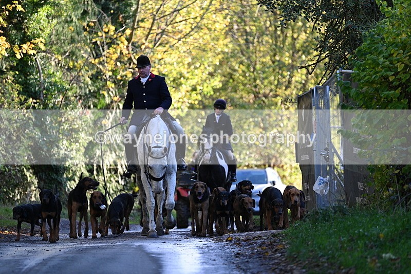 WJ7_8601 - Walk Home