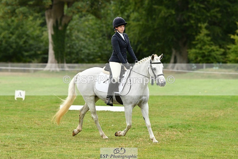 250820A-121710-05534 - 12 to 13.00