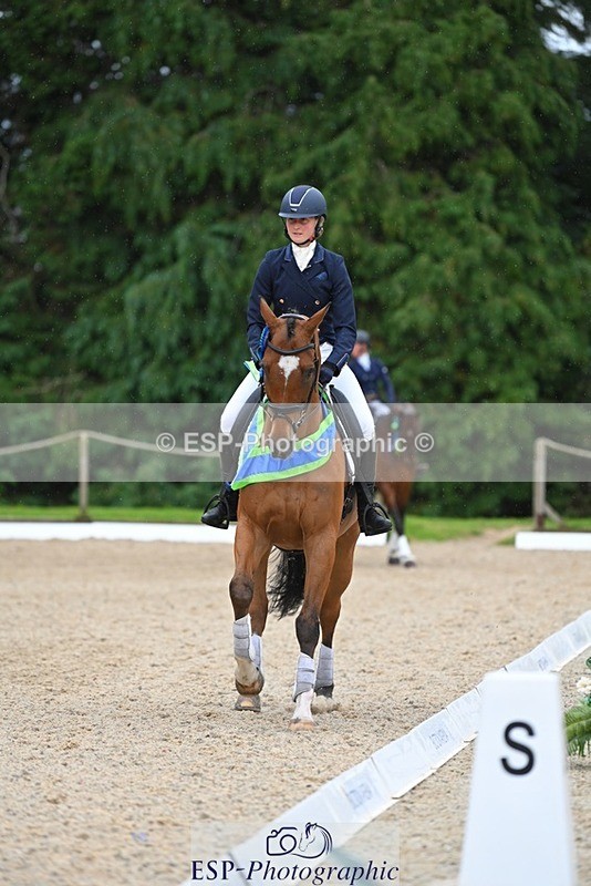 230813-163017-08334 - Medium Bronze Presentations