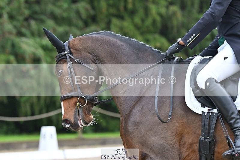 231019-105708-02013 - 104-MIH.CANDY.ALLSTAR-Ollie.Martin-DR