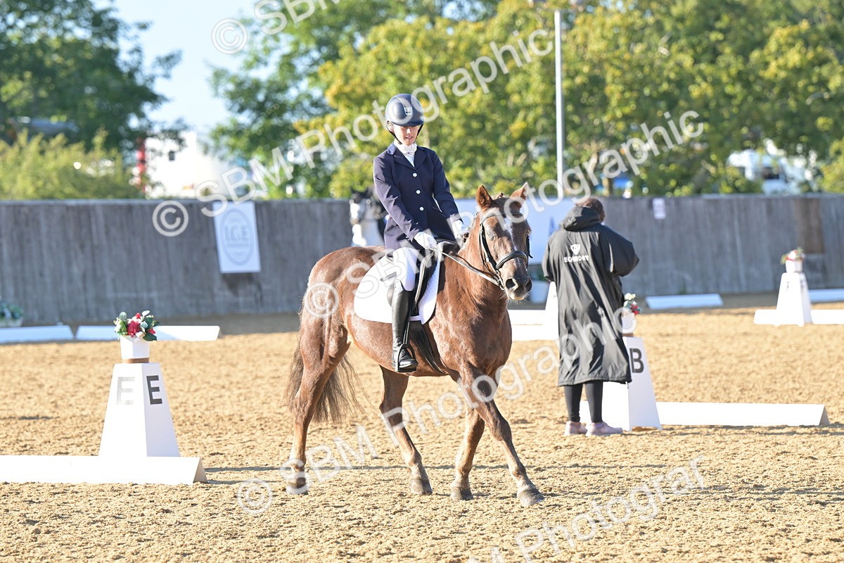SBM_13083 - D3 - Small Tour Championship Intro 3