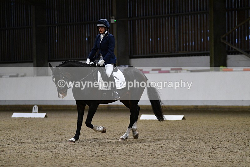 WJ5_8640 - Class 5 Novice Test 3