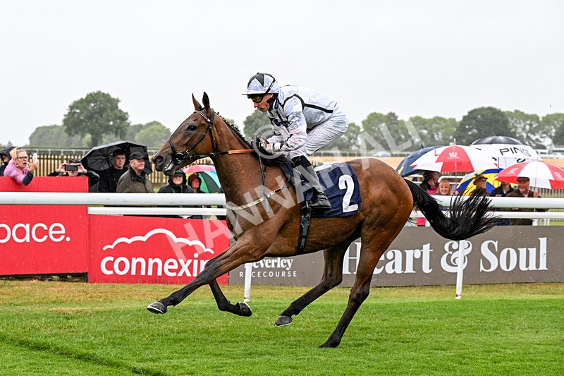 150725-Race 1-Dunkeld Dreamer-0091 - Race 1