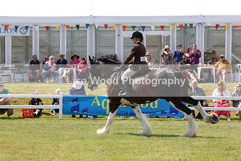 3E7A2889 - Class 13: Heavy Horse Ridden