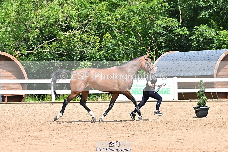 240718A-105306-01569 - Trot Up 1pm to 2pm