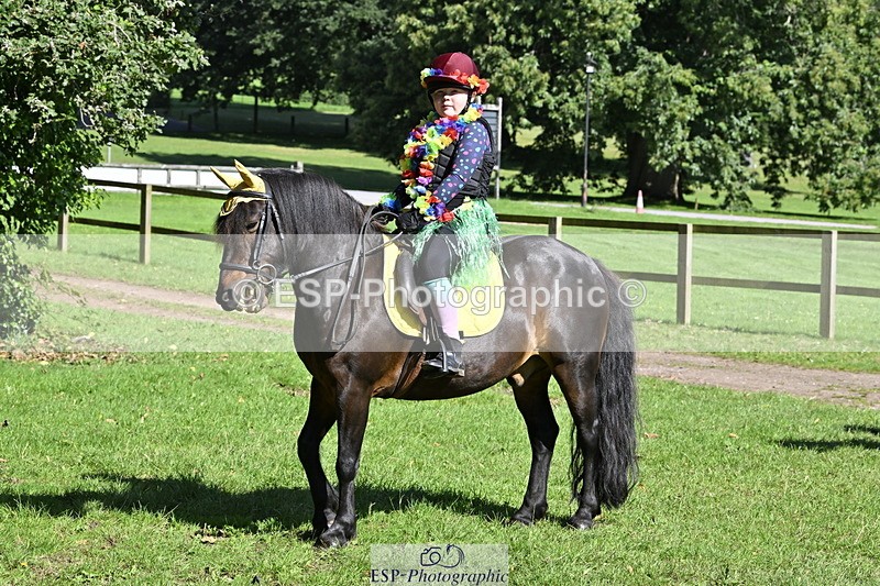 240728B-095104-00214 - Sunday Stable Shots and Fancy Dress