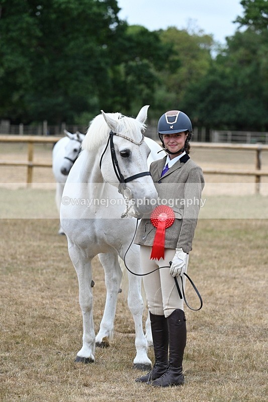 WJ7_9247 - Class 4a Prettiest Mare 14.2hh and over