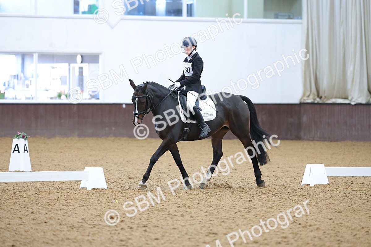 SBM_003724 - Novice