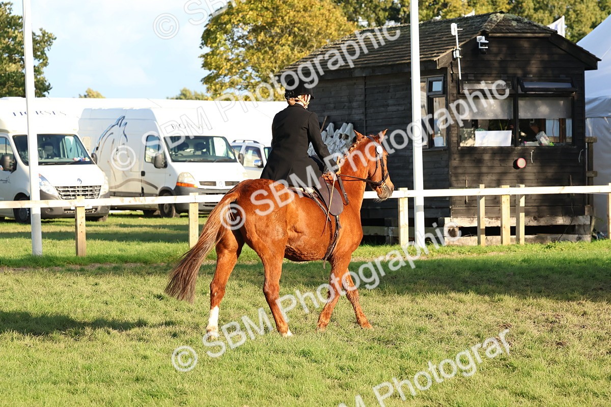 SBM_53059 - S29 - Mature Veteran Ridden
