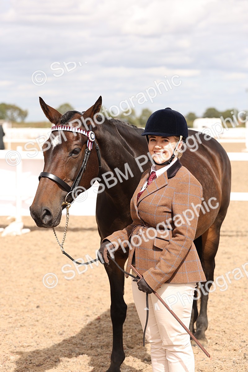 SBM_15396 - Class 210- IH Show Horse