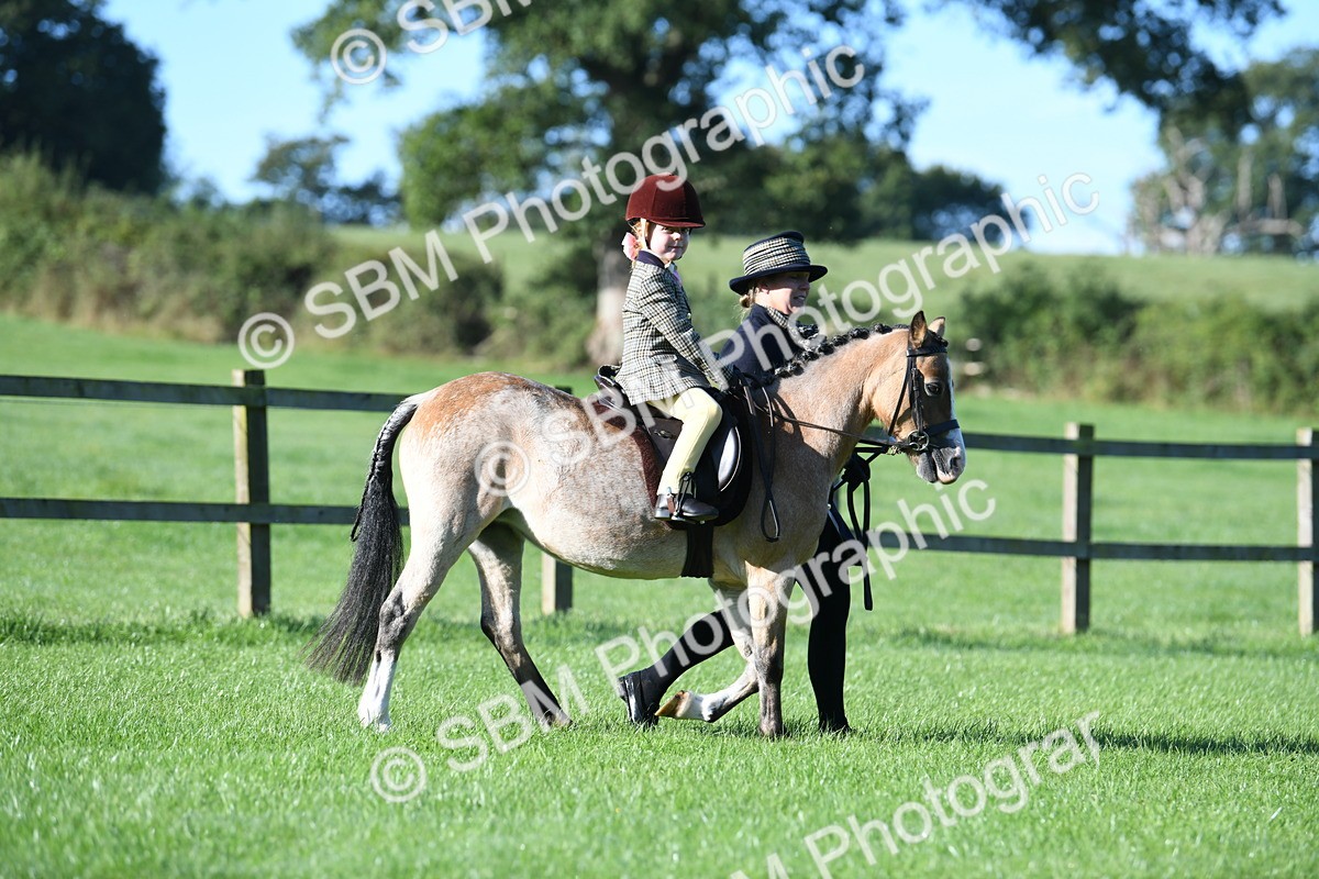 SBM_35289 - S17 - Condition & Turnout - Lead Rein